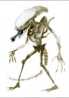 alexpardeealien.jpg