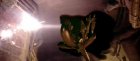 alien_3_07.jpg