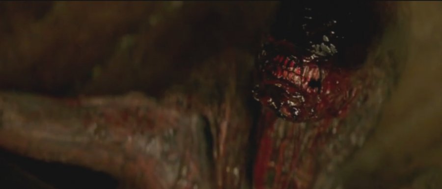 alien_3_25.jpg