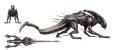 aliencconcept36.jpg