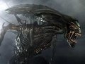 xenomorph_2.jpg