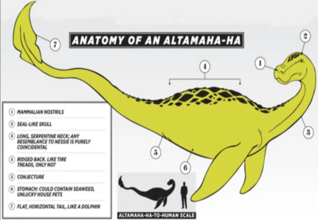 altamaha-ha.png