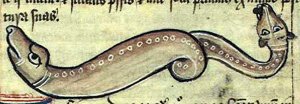 amphisbaena_in_medieval_bestiary.jpg