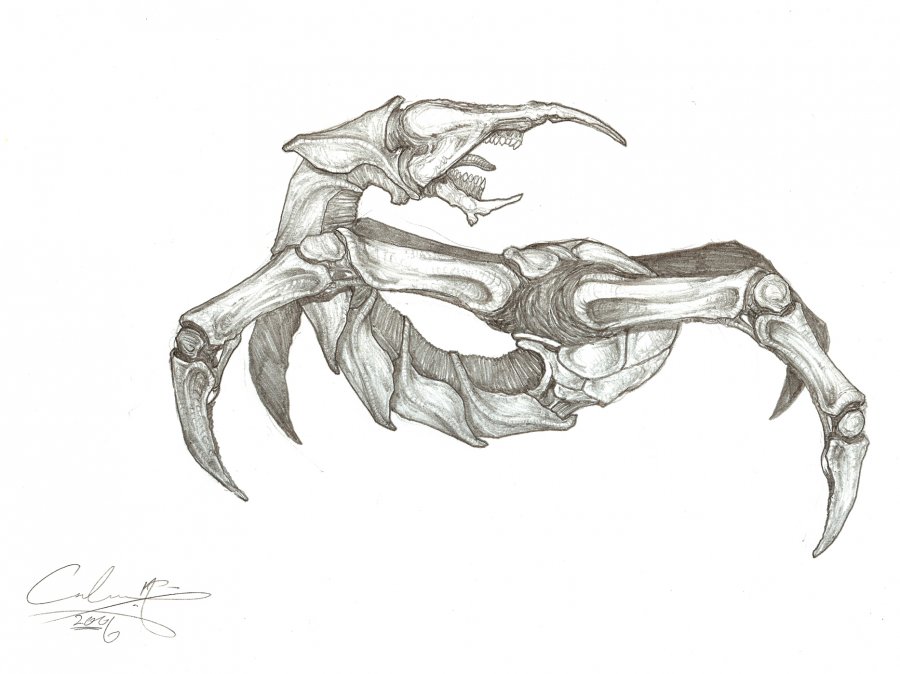 another_monster_by_the_gecko.jpg