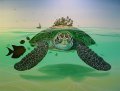 turtle-island.jpg