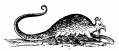 basilisk_1640_.png