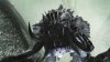830px-bull_rancor.jpg