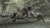 mirena_rhee_bull_rancor1.jpg