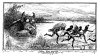 8261167376_ab3b897bb0_c.jpg