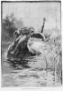 rs53631_1240088822_bunyip_1890.jpg