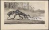 rs53631_1240088822_bunyip_1935_.jpg