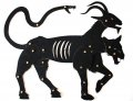 chimera_foto_blog.jpg