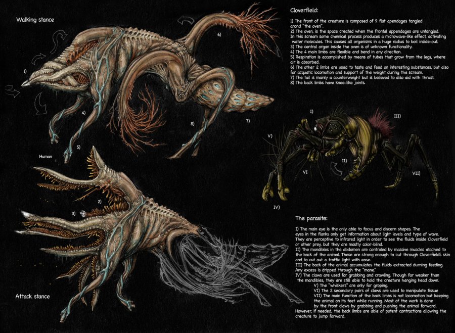 cloverfield_redesigned_by_iririv.jpg