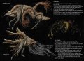 cloverfield_redesigned_by_iririv.jpg