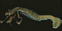 coloclawfish.jpg