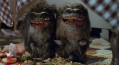 critters20.png