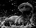 dobhar-chu_encounter.jpg