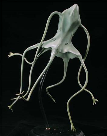 dogora02.jpg