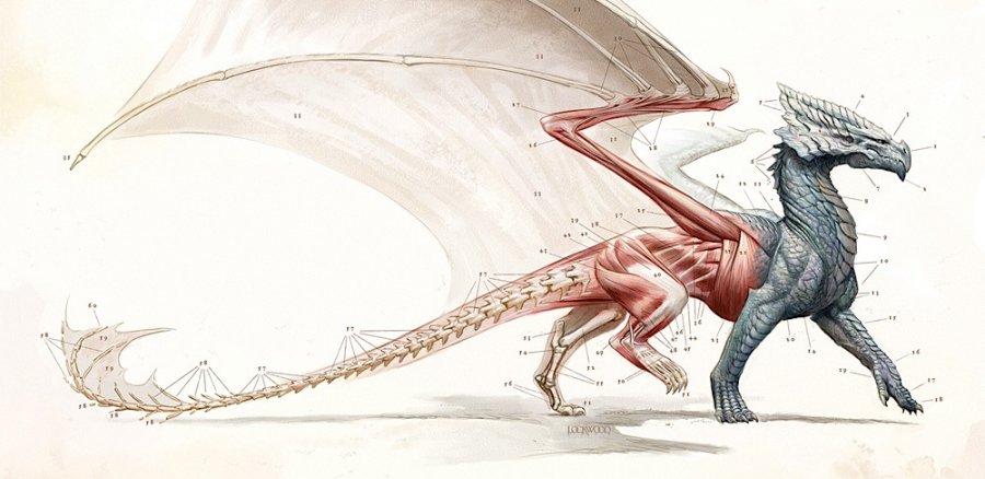 dragonnature_smart.jpg
