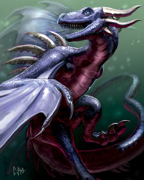 dragonpinp.jpg