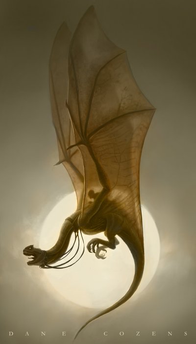 dragonrider_bydanecozens.jpg