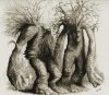 1301x1139_11490_ent_s_2d_fantasy_creatures_ent_picture_image_digital_art.jpg