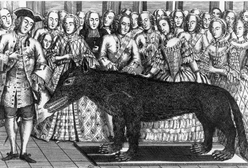 wolf_of_chazes.jpg