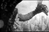 the_giant_claw_by_gades1980.png