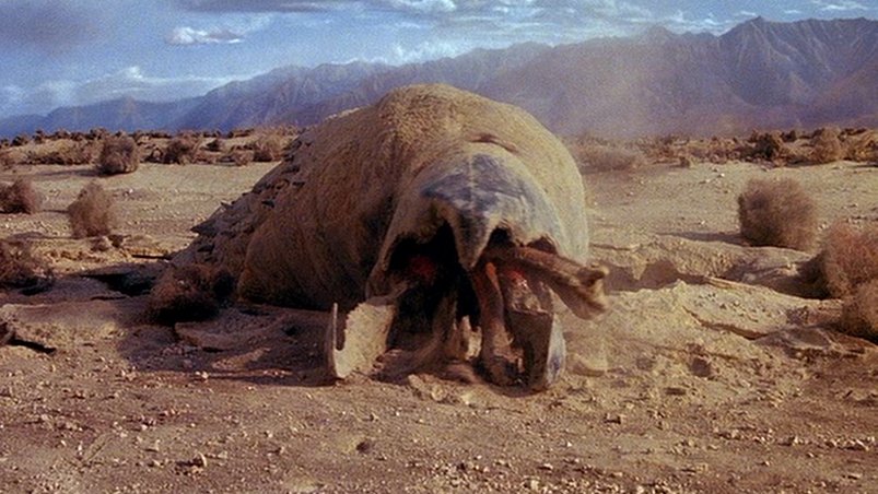 big_fat_graboid.jpg