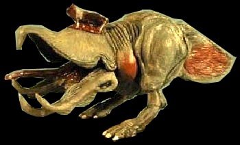 shrieker.jpg