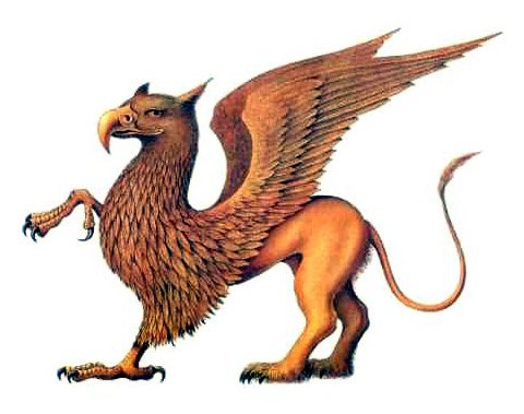 griffin_2.jpg