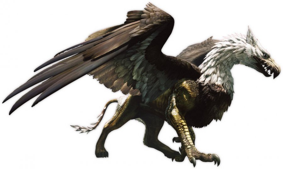 gryphon-mythical-creatures-28582685-940-561.jpg