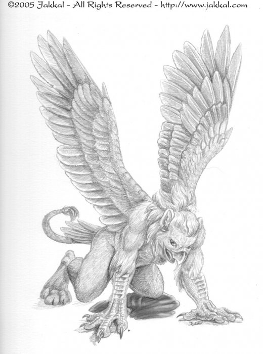 gryphon_transformation_page_4_by_drakkolupen.jpg