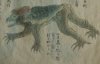 kappa_water_imp_1836.jpg