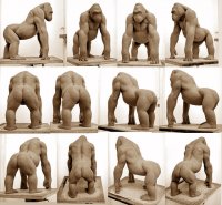 kongbody-rough.jpg