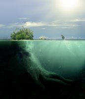 octopus_isle_by_pshoudini-d49qccf.jpg