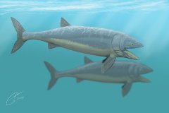 leedsichtys092.jpg