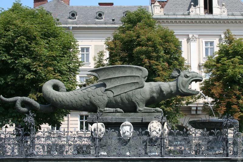 169.jpg