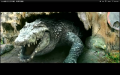 giant_the_large_s.png