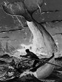 moby-dick_1_.jpg
