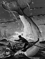 moby-dick_1_.jpg