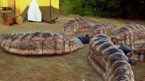 mongoliandeathworms.jpg