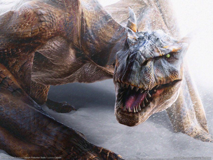 monster-hunter-2-pictures-640.jpg