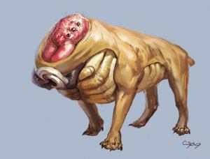 dug.jpg