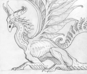 forestdragon.jpg