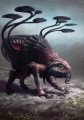 nomancuan-by-cloister.jpg