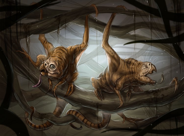 pygmies_finish.jpg