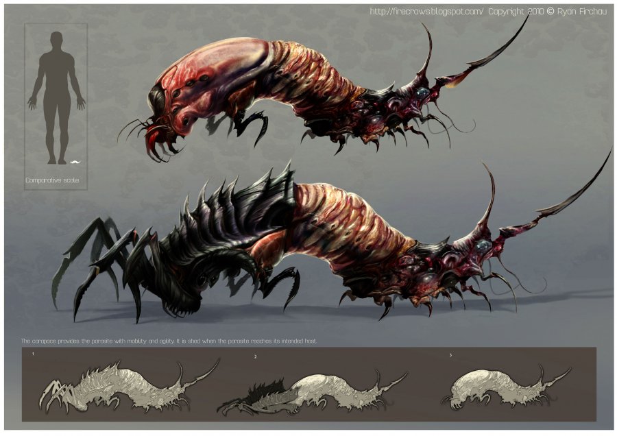 spidermite_web.jpg