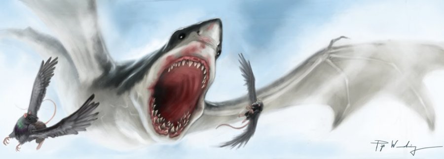20100507-air-jaws.jpg