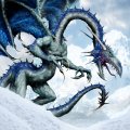 dragon-6708.jpg